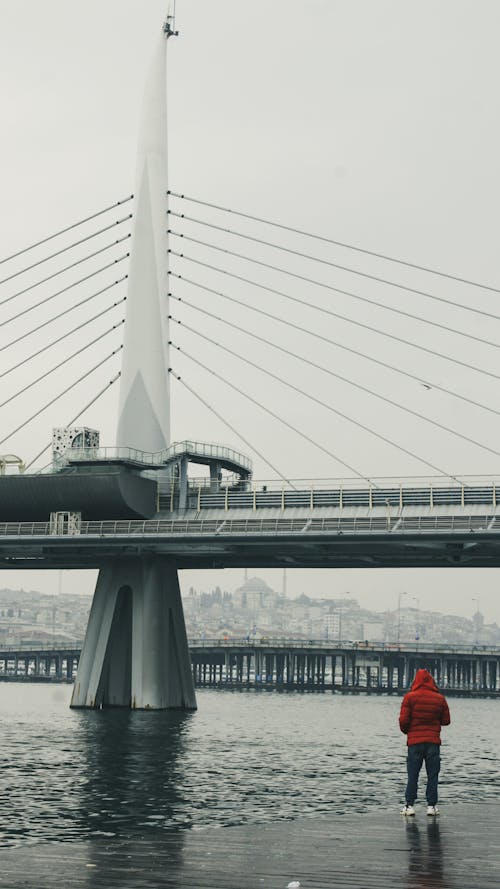 Gratis stockfoto met baai, hangbrug, kerel