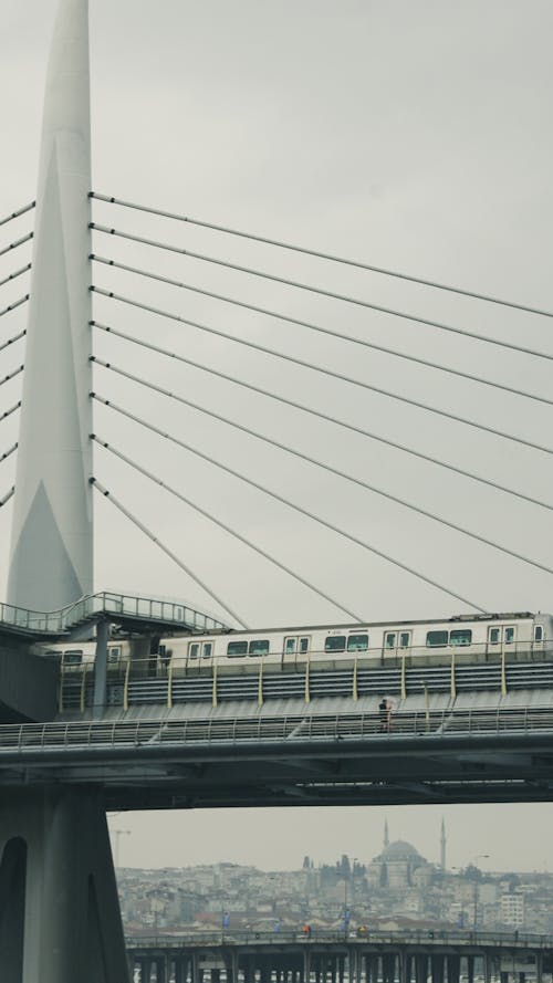 シティ, つり橋, 公共交通機関の無料の写真素材