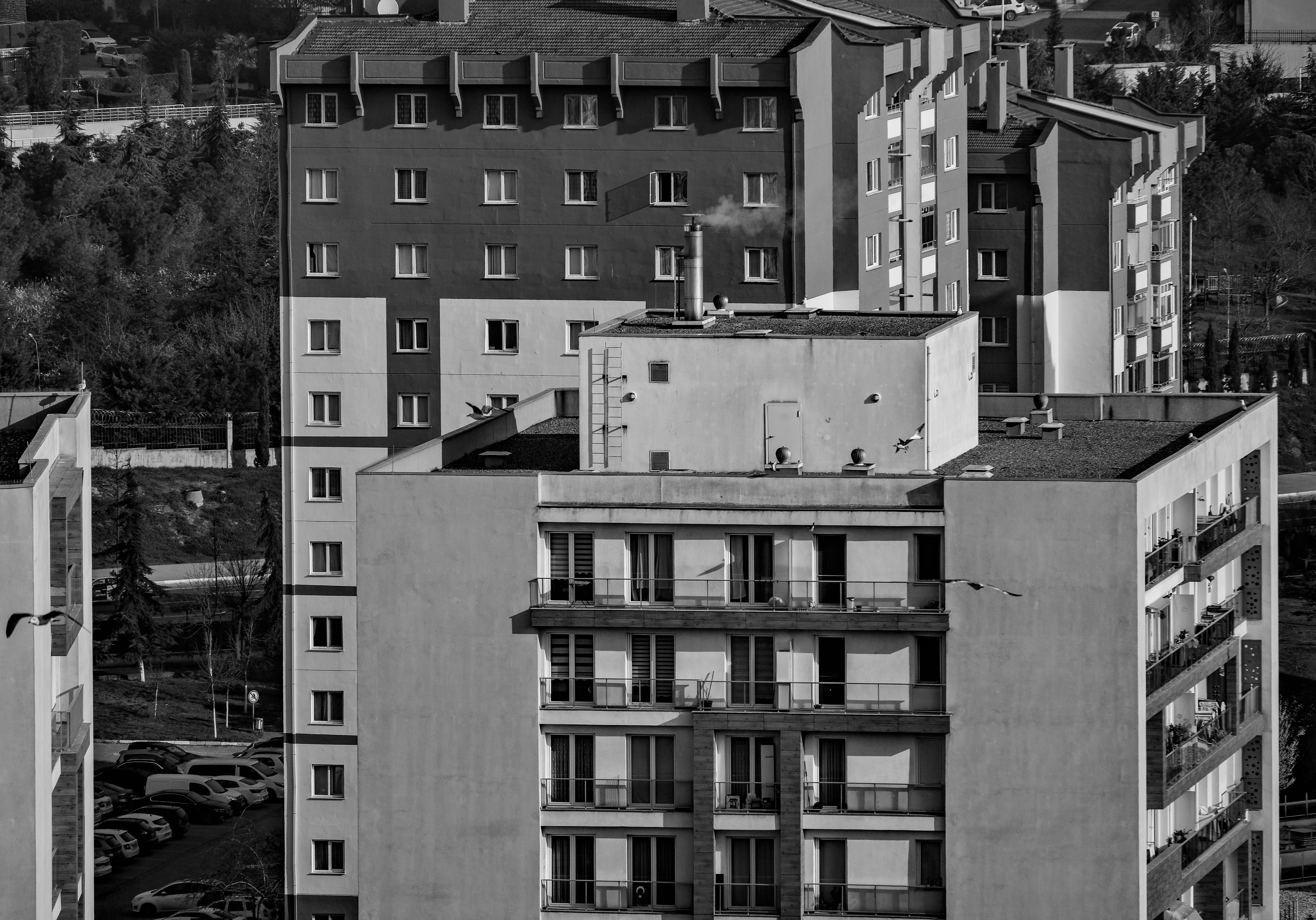 Apartment Buildings in City · Free Stock Photo