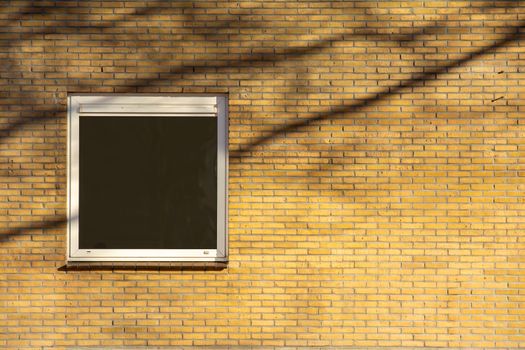 Window in Brick Wall