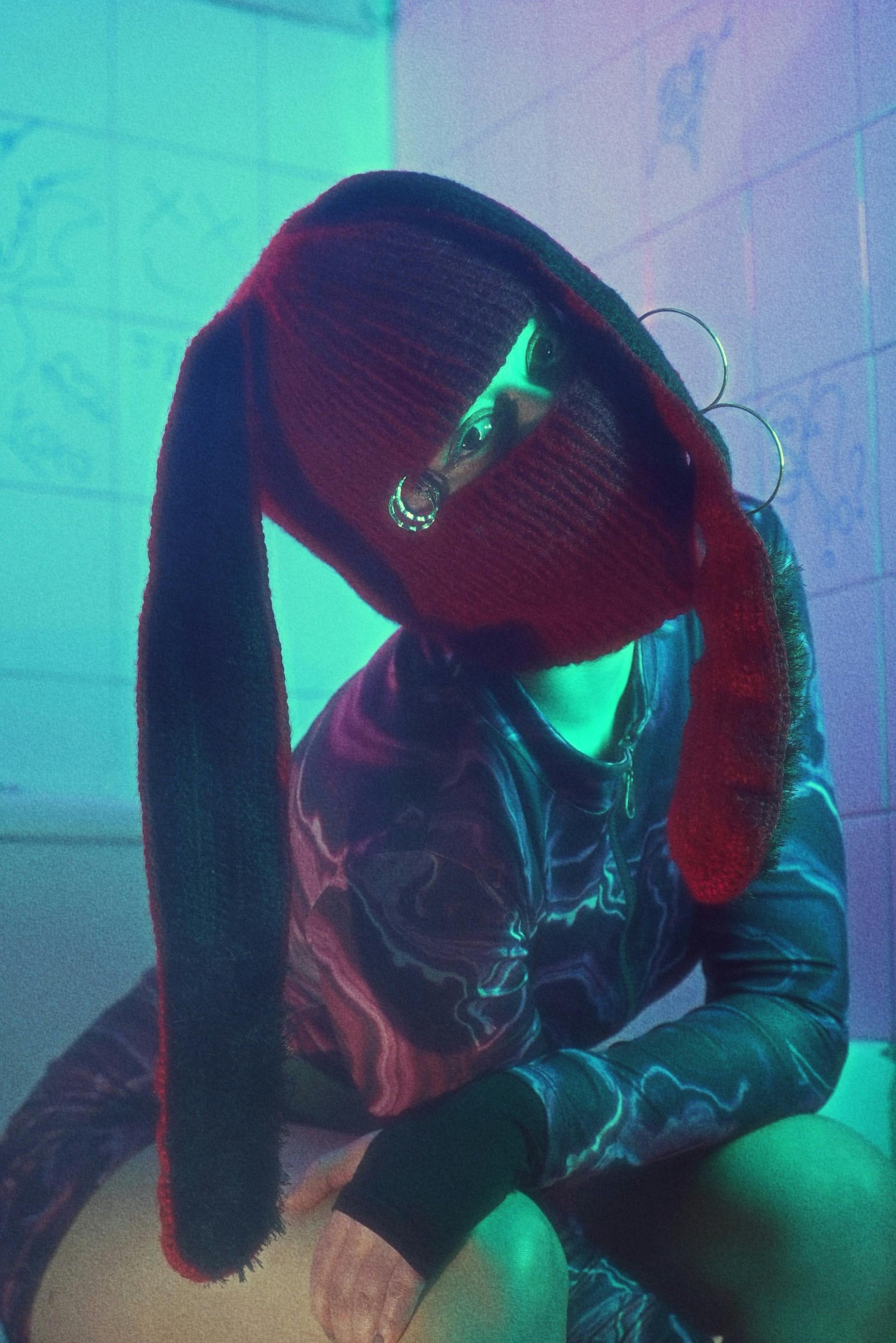 Person Posing in Balaclava Costume with Ears · Free Stock Photo