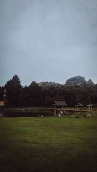 A peaceful park scene in São Paulo, Brazil, with lush greenery and a cloudy sky.