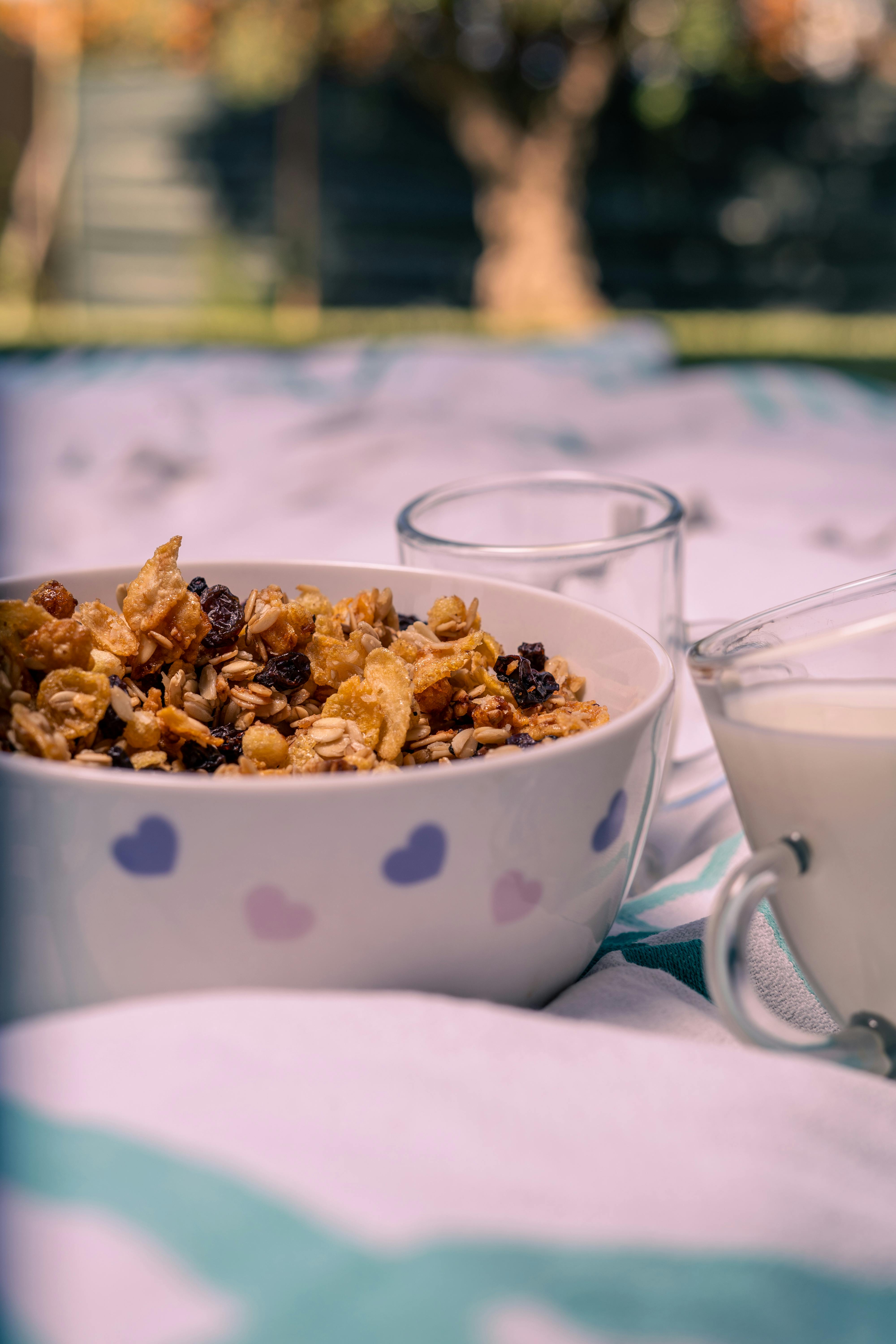 Delicious granola served with milk outdoors on a soft blanket, ideal for a cozy breakfast.