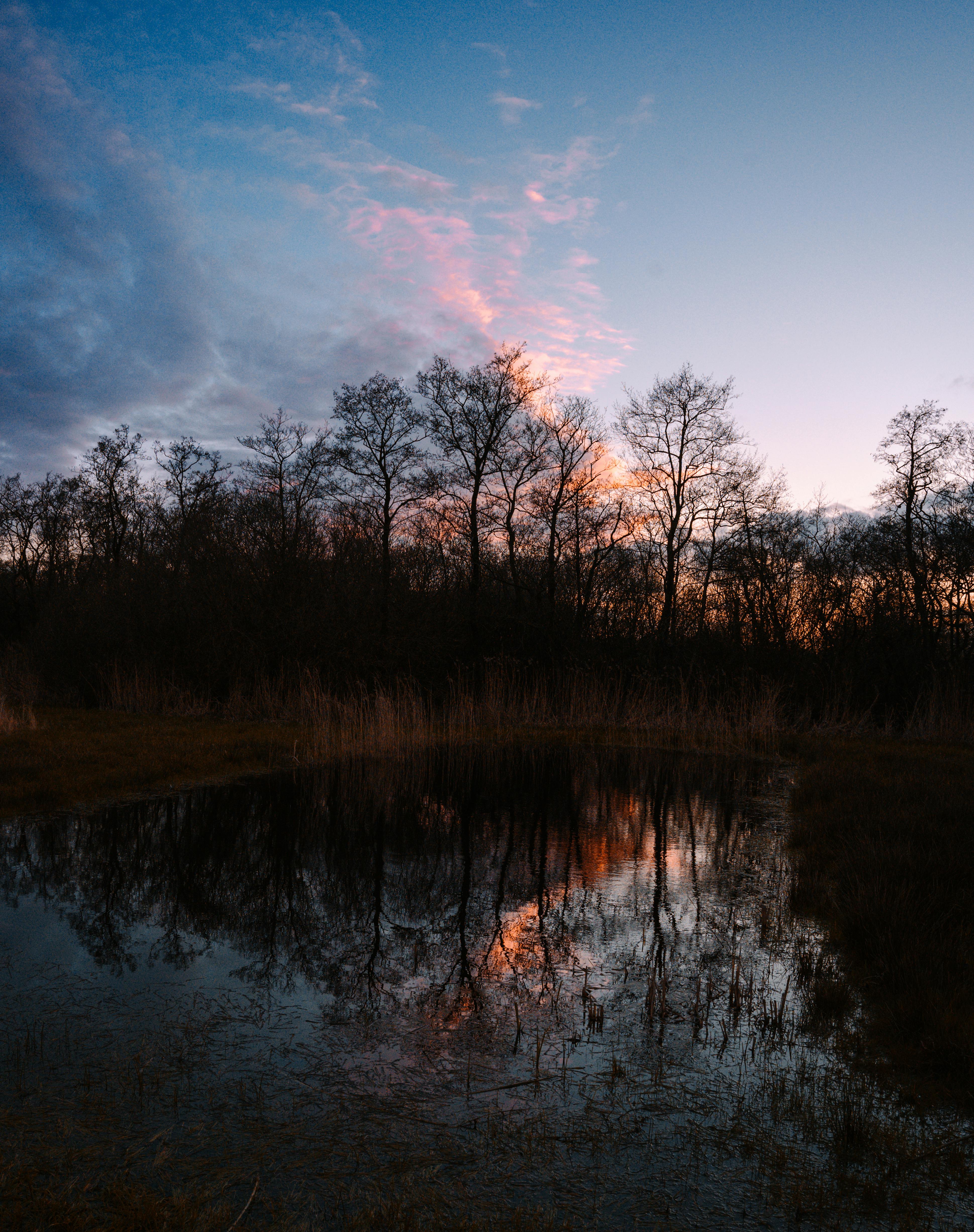 Dusk from the shops Goat Walk - lino cut print of Exe estuary with sunset, clouds and reflection on water