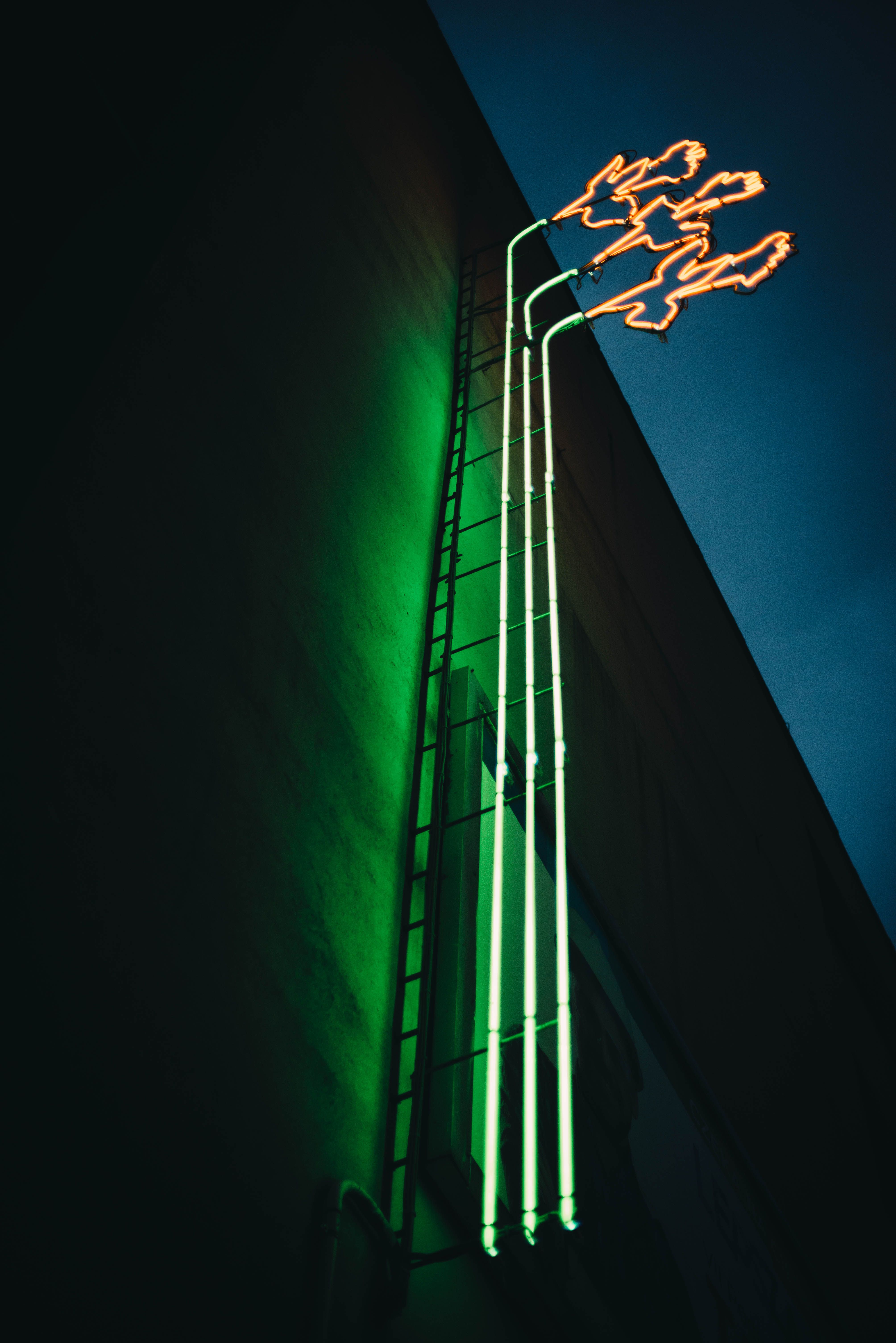 Vertical neon sign glowing green and orange on a building at night.