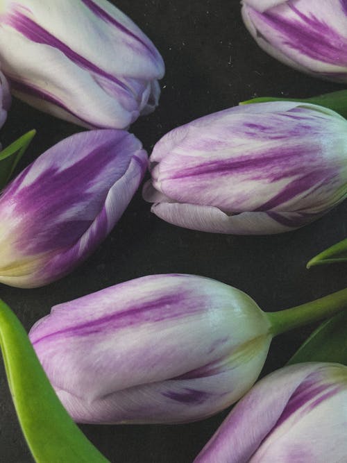 Kostnadsfri bild av blommor, bokeh, bukett