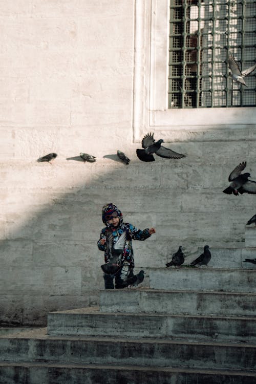 A Kid and Birds in a City