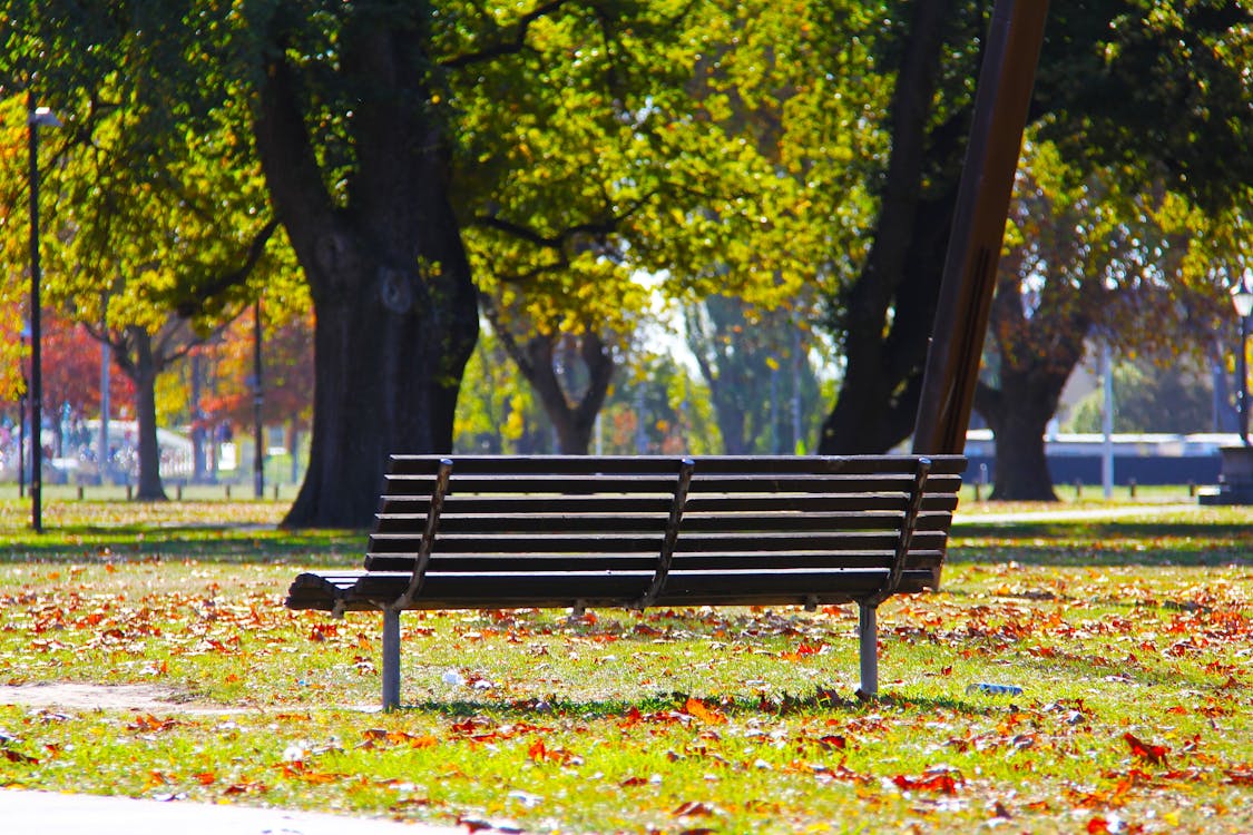 Free Black Wooden Bench on Green Grass Stock Photo