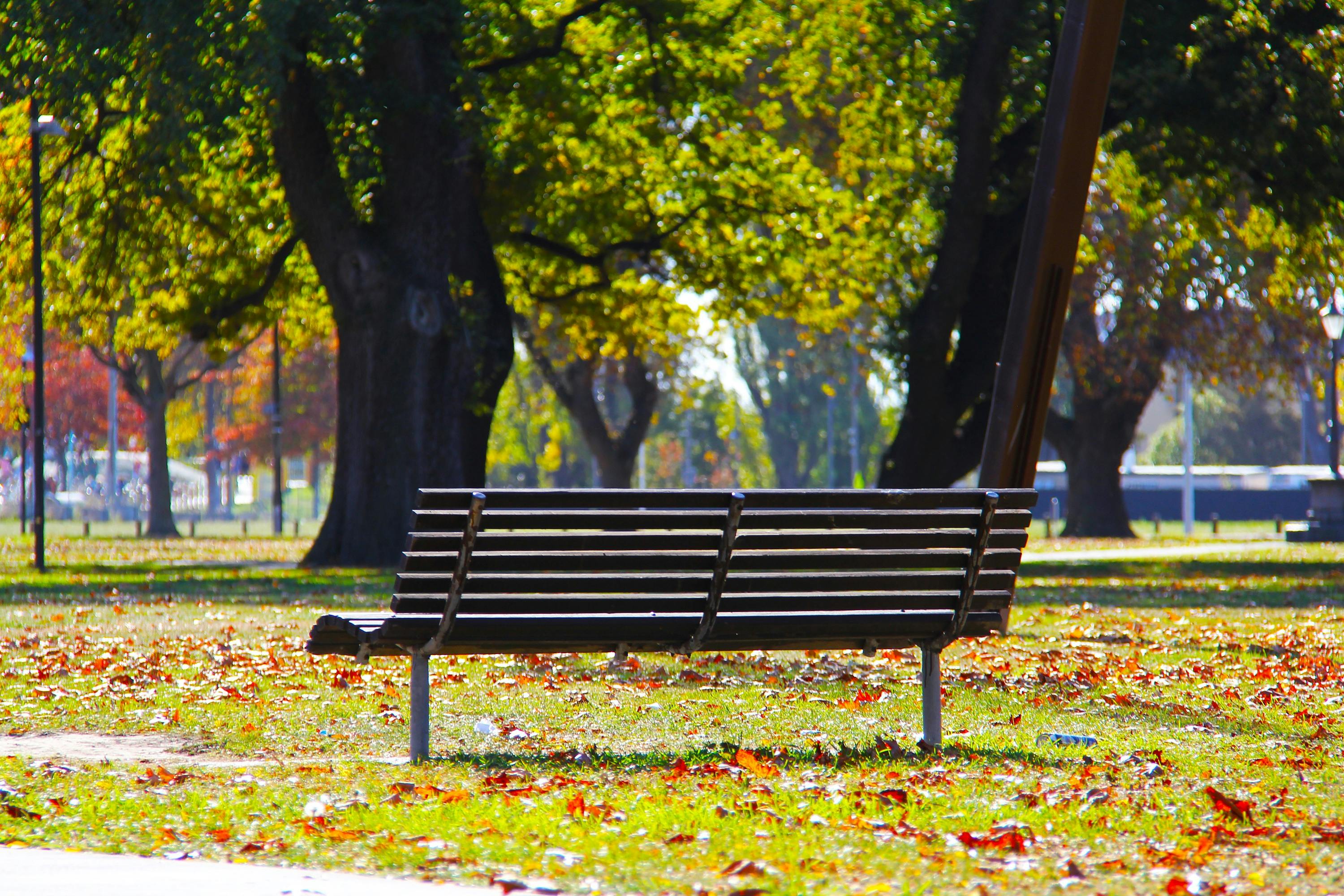 park background with bench