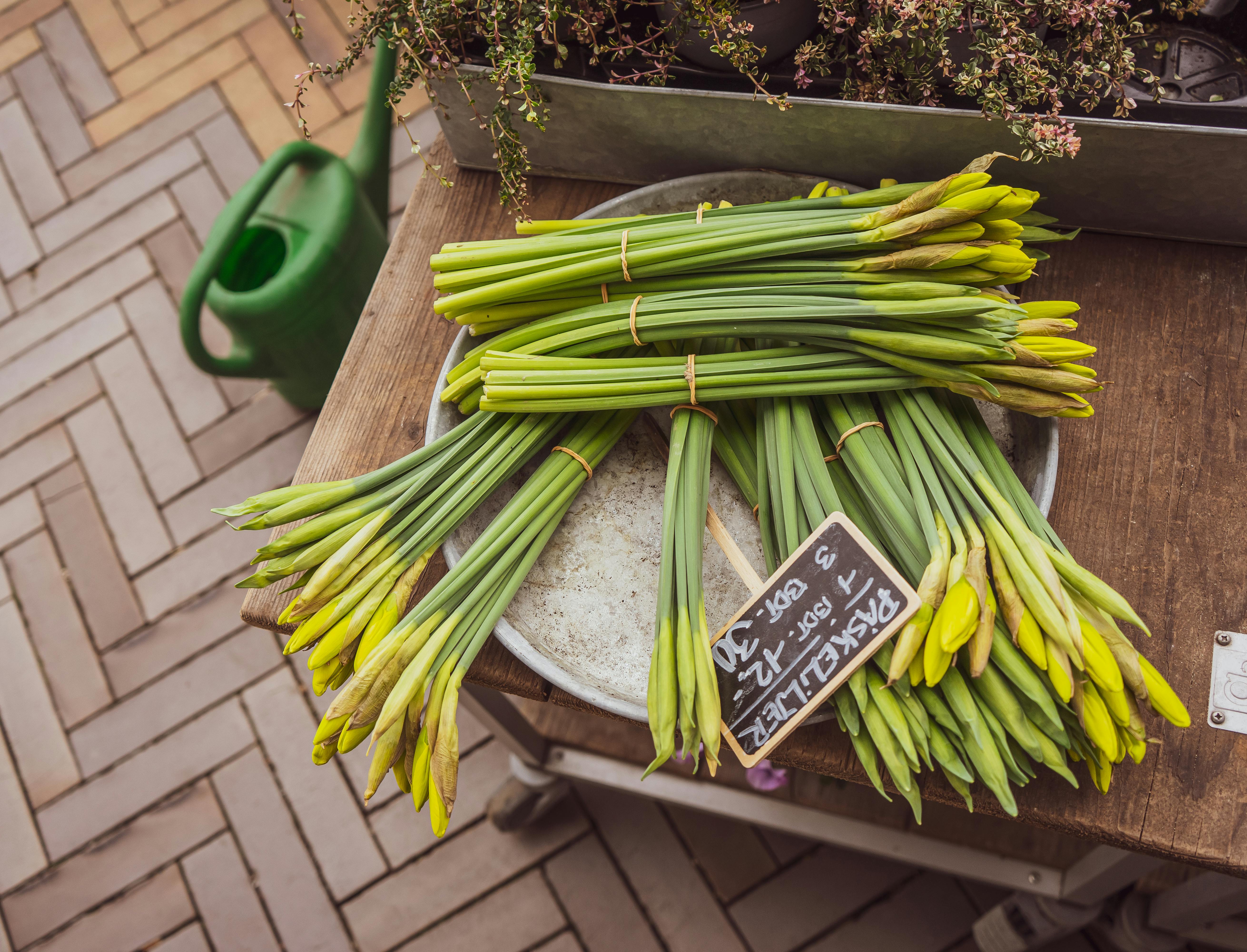 Bright green daffodil stalks bundled for sale on a market table.