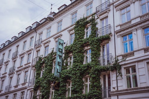 Ivy Growing on Hotel Building 