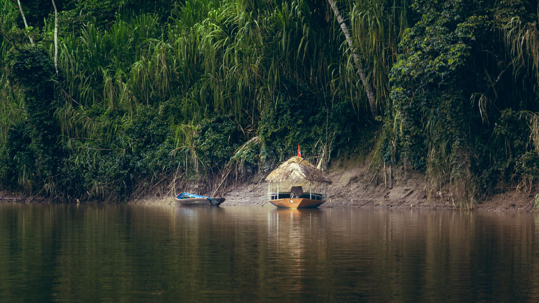 amazon river jungle brazil boat canoe rainforest aerial view trees green tropical