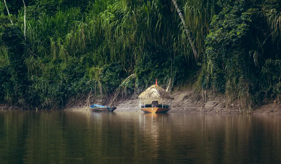 Amazonie et Yasuni