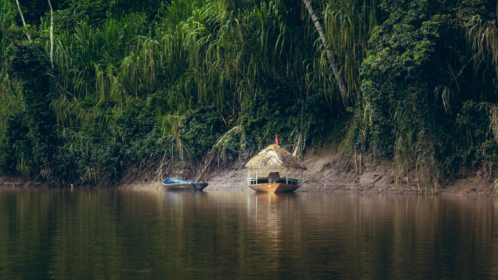 Pampas del Yacuma