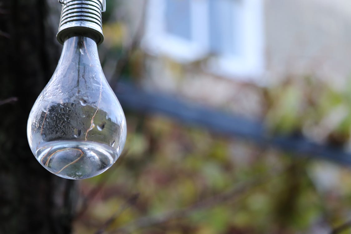 Light Bulb Covered in Water Droplets · Free Stock Photo