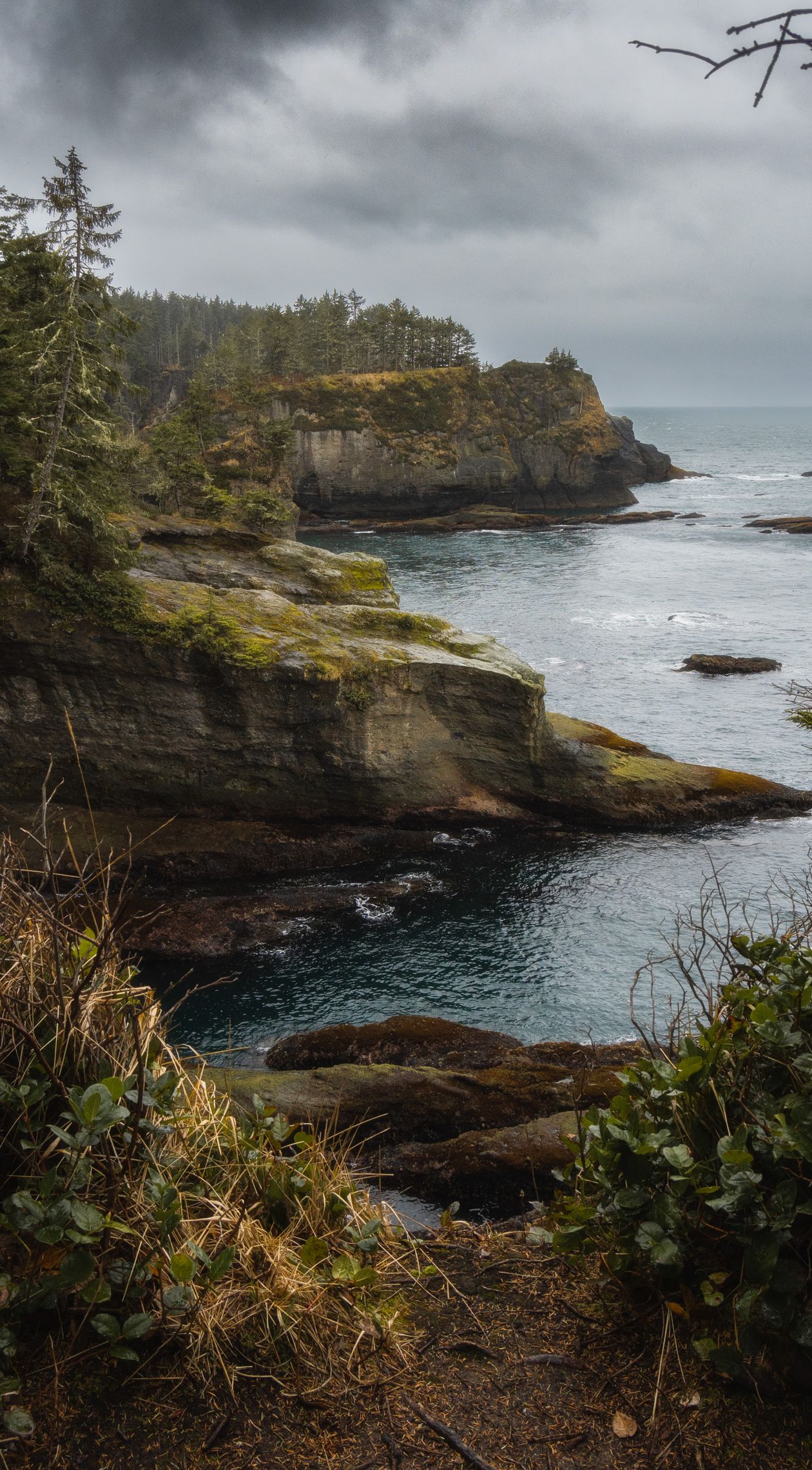 Cliffs and forest on the Washington coast