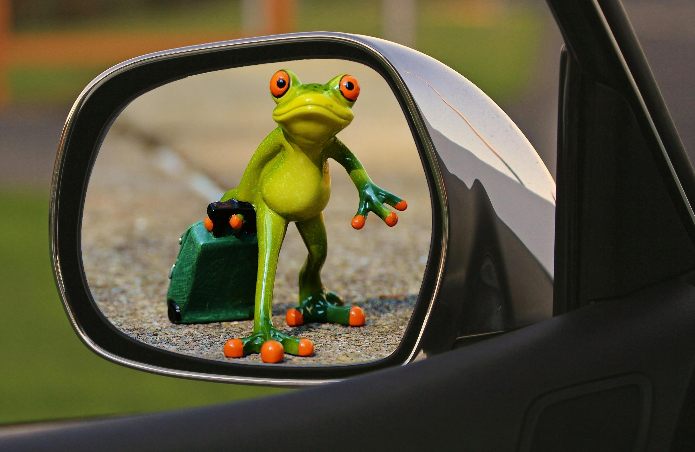 Znalezione obrazy dla zapytania mirror funny