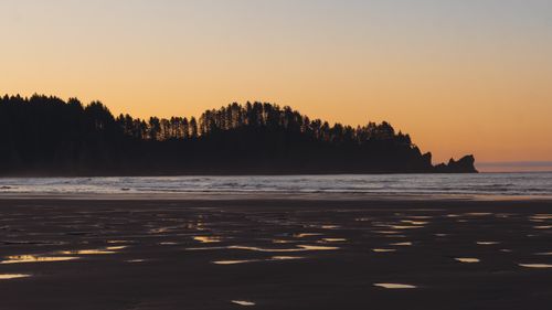 Free Tranquil sunset over La Push Beach, Washington with silhouetted trees and ocean waves. Stock Photo