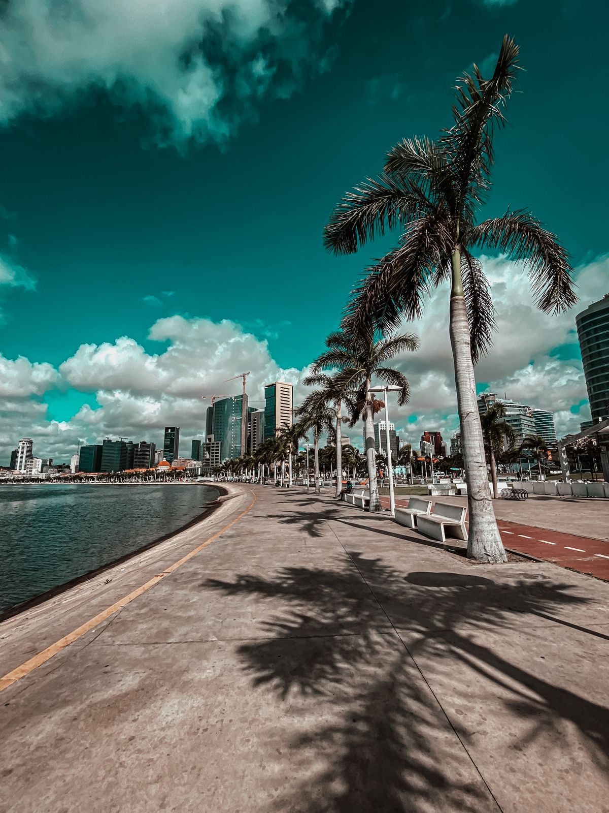 Bahía de Luanda con palmeras y skyline