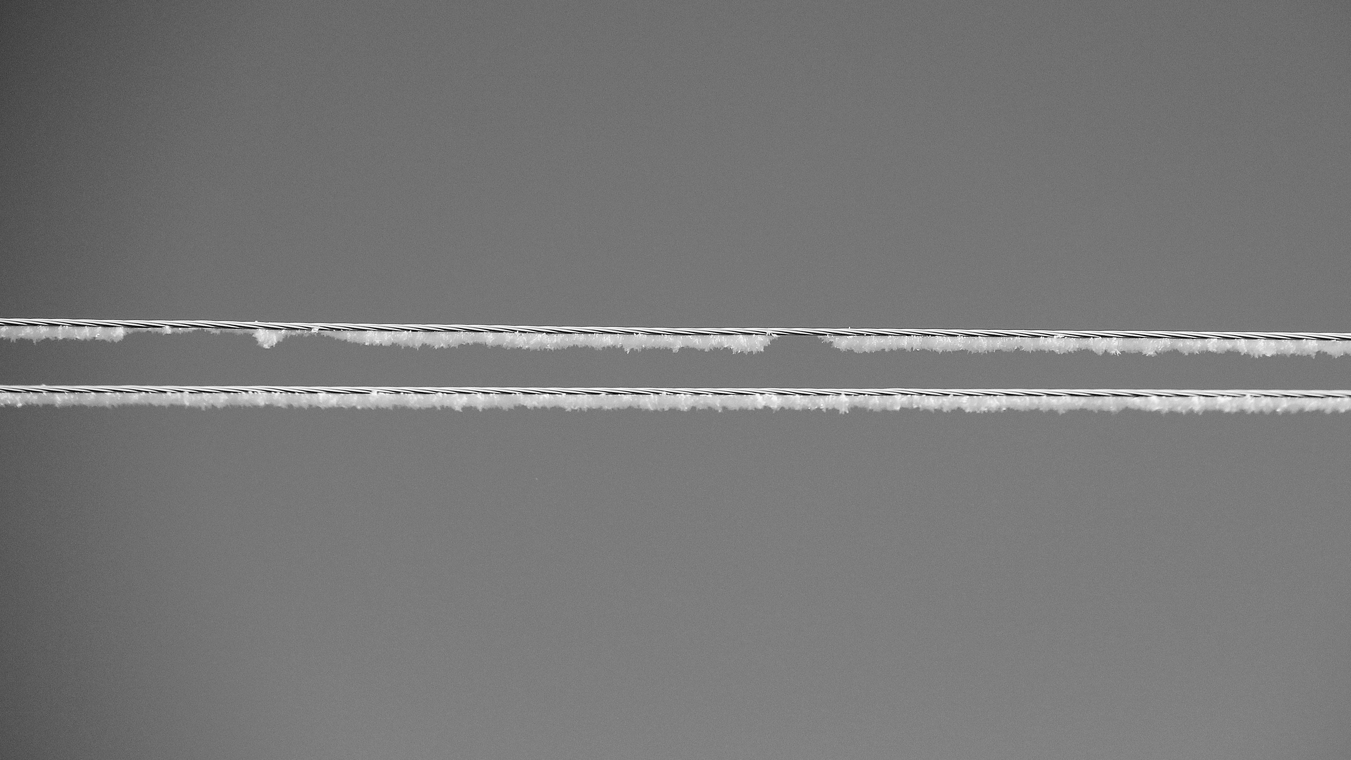 Free stock photo of black and white, wires