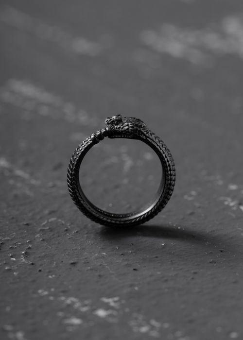 Free A detailed black and white photo of an intricate Uroboros snake ring, showcasing fine craftsmanship. Stock Photo