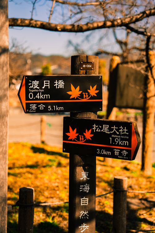 Free A wooden signpost in a park displaying directions and distances in Japanese text with autumn theme. Stock Photo