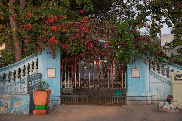 Red Flowering Branches Over A Closed Gate