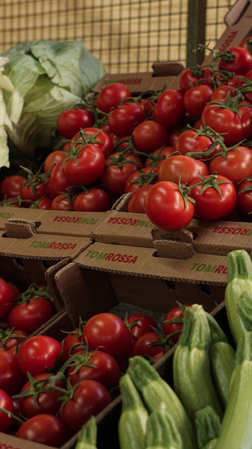 A display of vegetables at a farmers market