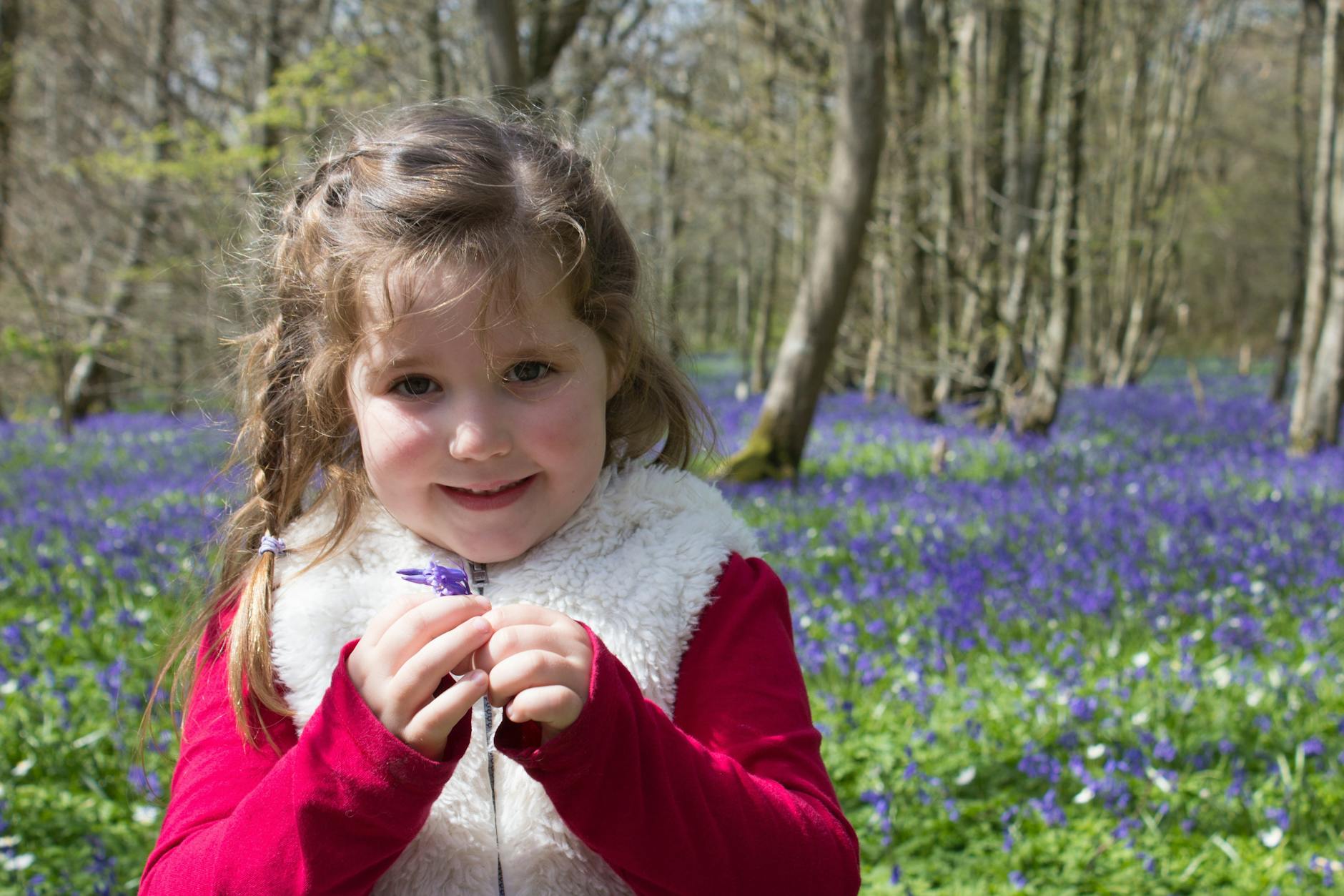 The UKs best places to see bluebells and daffodils