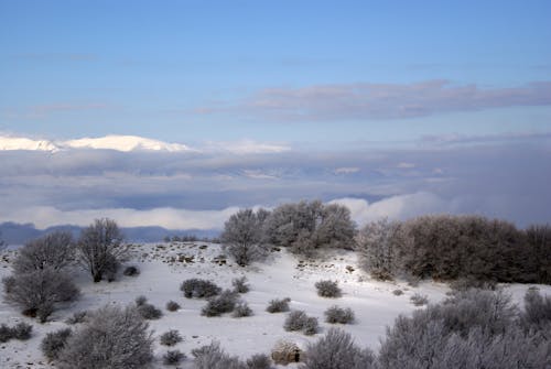 Základová fotografie zdarma na téma abruzzi, adriatica, alba