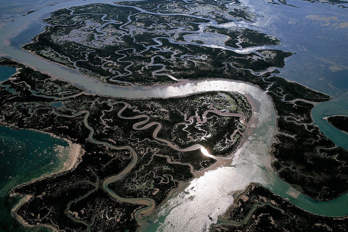 NaaS 降低股票面值對中國電動車充電產業的衝擊:2026 年市場靈活性與投資者權益剖析 NaaS 降低股票面值對中國電動車充電產業的衝擊:2026 年市場靈活性與投資者權益剖析