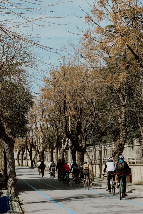 Free Group of cyclists riding on a tree-lined bike path in a park on a sunny day. Stock Photo