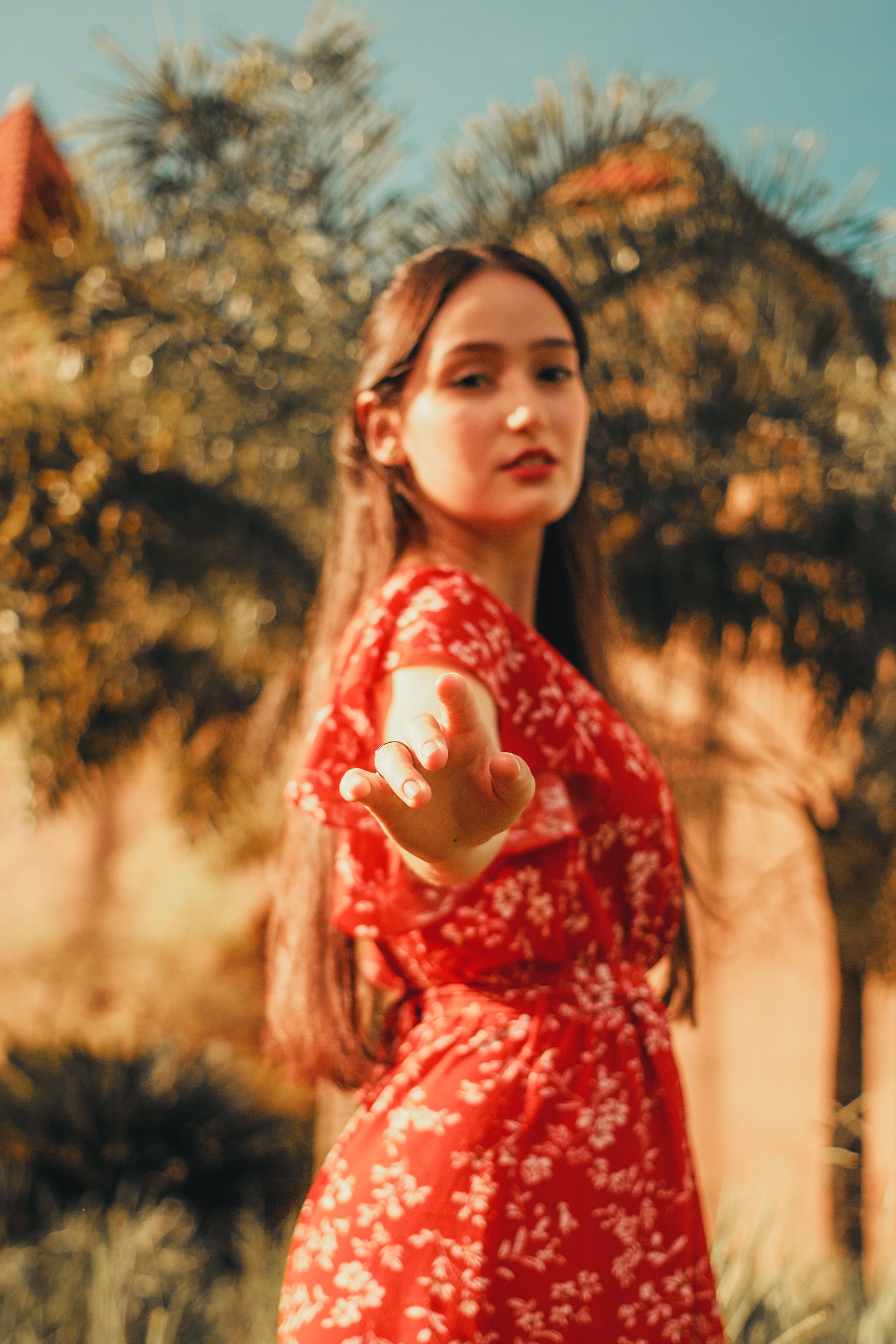 Posing Woman in Red Dress  Free Stock Photo