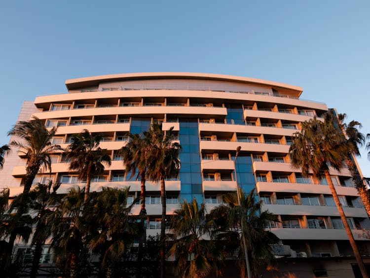 Palm Trees In Front Of A Hotel 