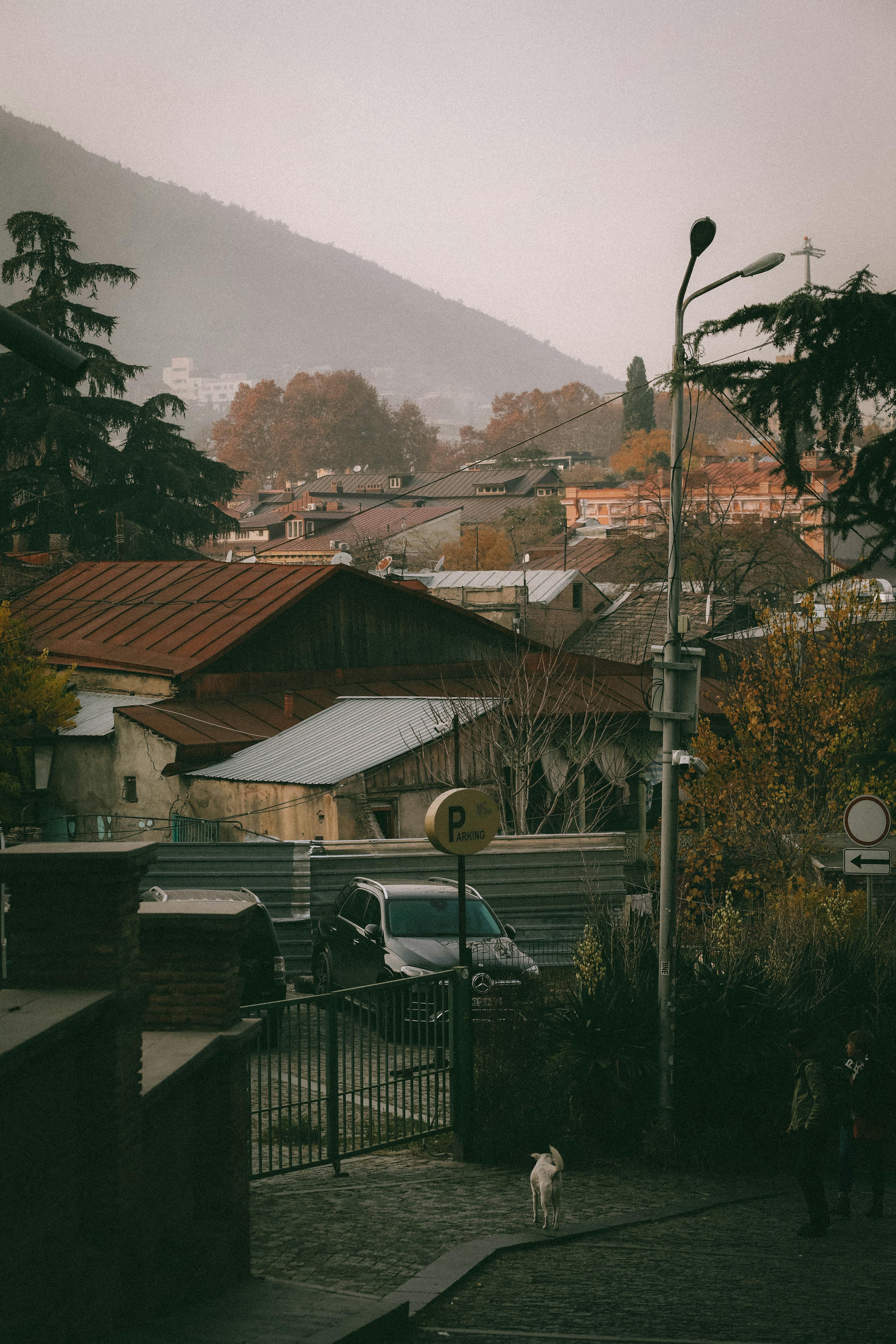 Explore the rustic charm of Tbilisi's hillside towns during autumn, featuring classic architecture and vibrant foliage.