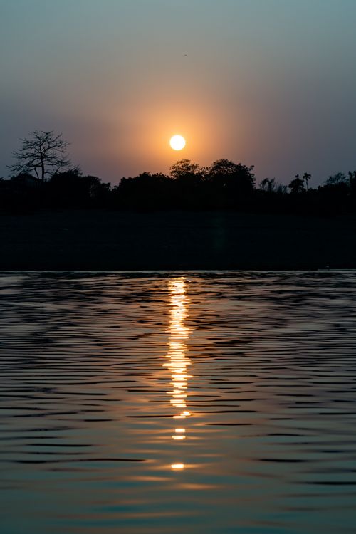 Free Peaceful sunset view with golden reflections on calm water and silhouetted trees. Stock Photo