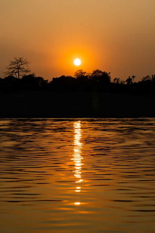 Free Golden sunset reflecting over calm water with silhouetted trees on the horizon. Stock Photo