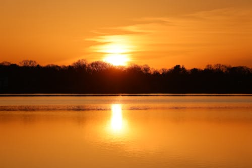 Foto profissional grátis de árvores, floresta, lago