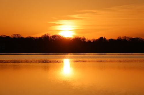 Free A beautiful sunset over a calm lake with silhouetted trees in Stamford, CT. Stock Photo