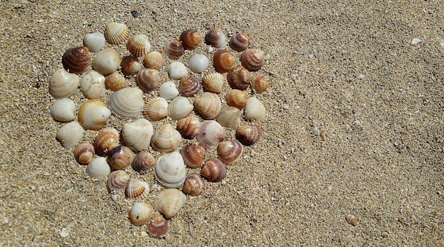 Heart Shape Sea Shells on Brown Beach Sand