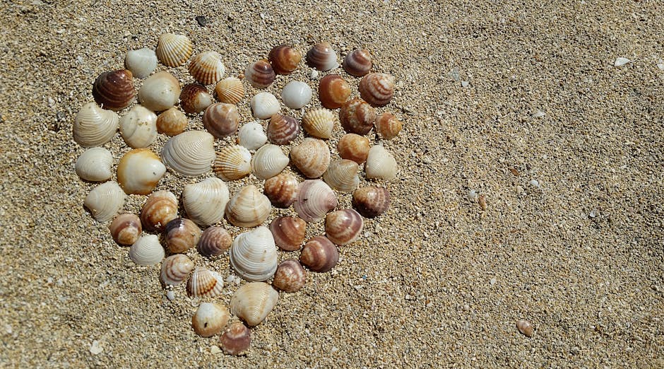 Heart Shape Sea Shells on Brown Beach Sand