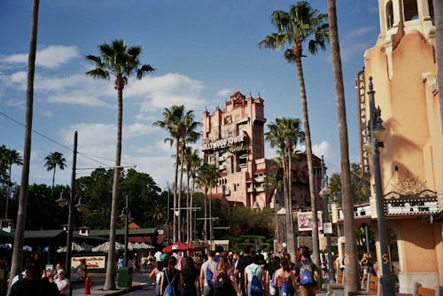 Free stock photo of 35mm, disney world, film