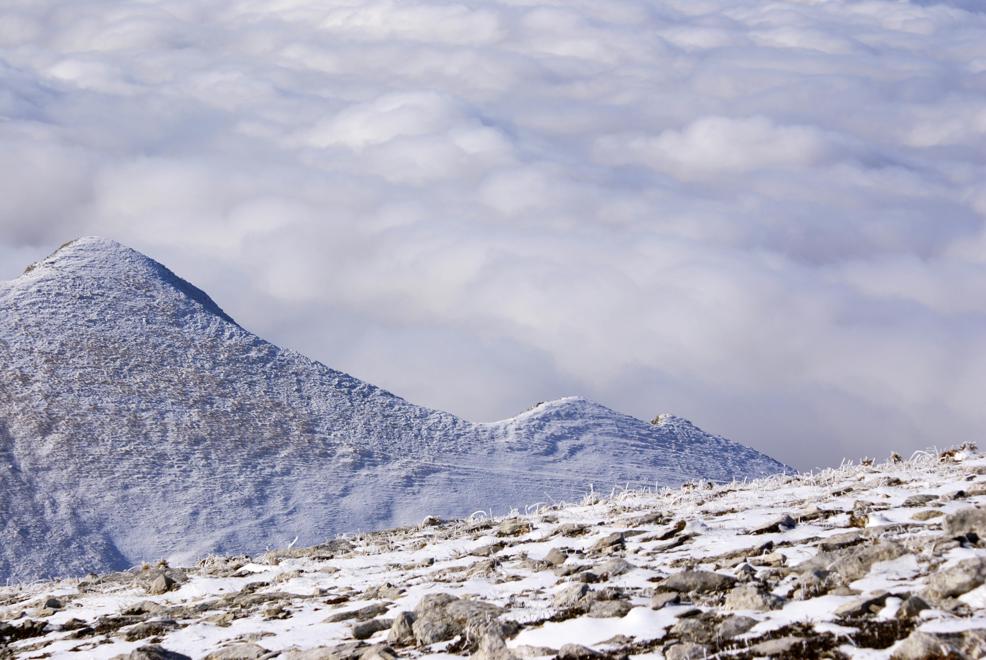 Serene snow-capped mountain peaks rising above the clouds under a clear sky, perfect for travel inspiration.
