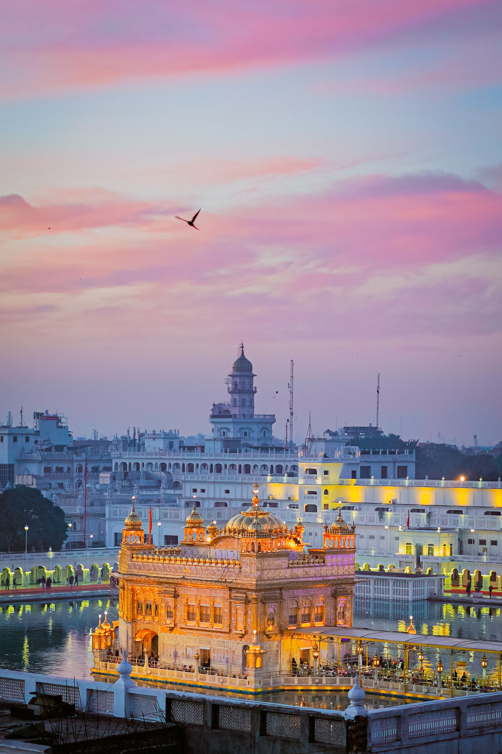 Amritsar Golden Temple Trail — Amritsar