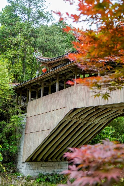 Free A picturesque wooden bridge nestled within a vibrant green forest, showcasing traditional architecture. Stock Photo