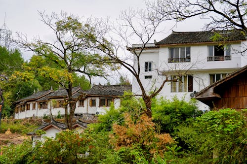 Residential Houses in a Town 