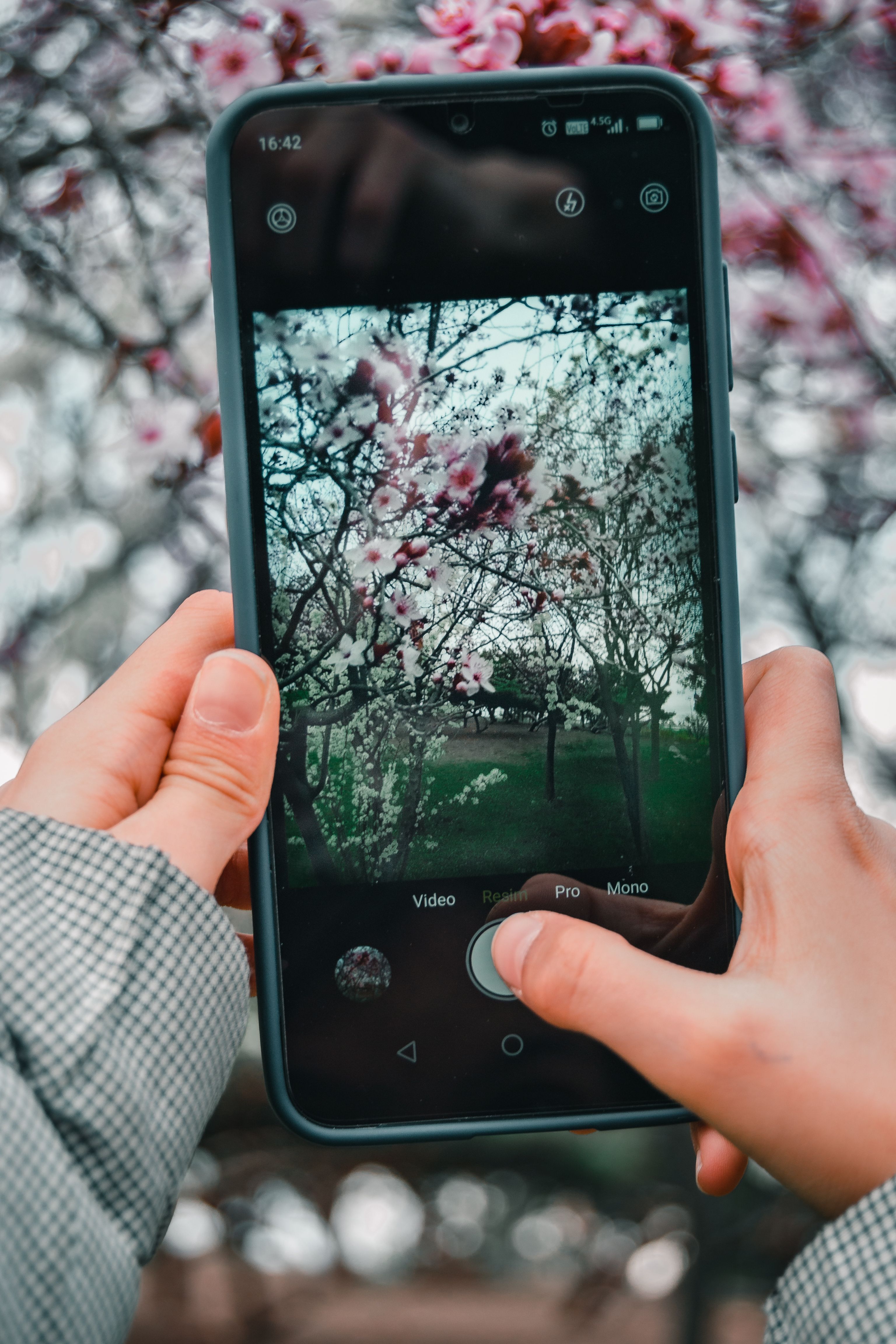 Digital Photography