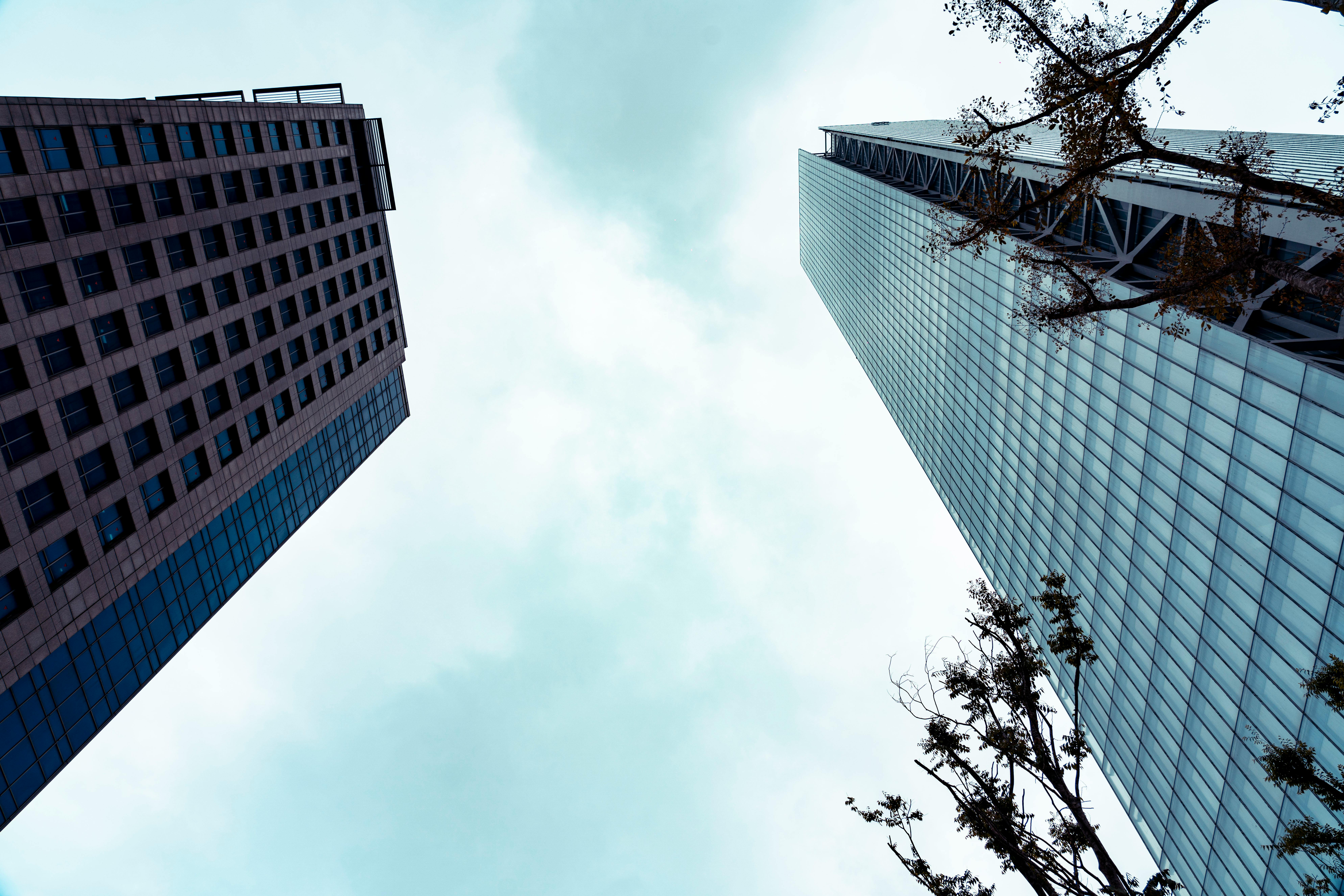 corporate governance esg esg governance examples — Photo by Jimmy Liao on Pexels