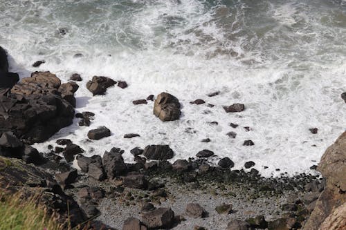 Foto profissional grátis de corroído, fechar-se, mar