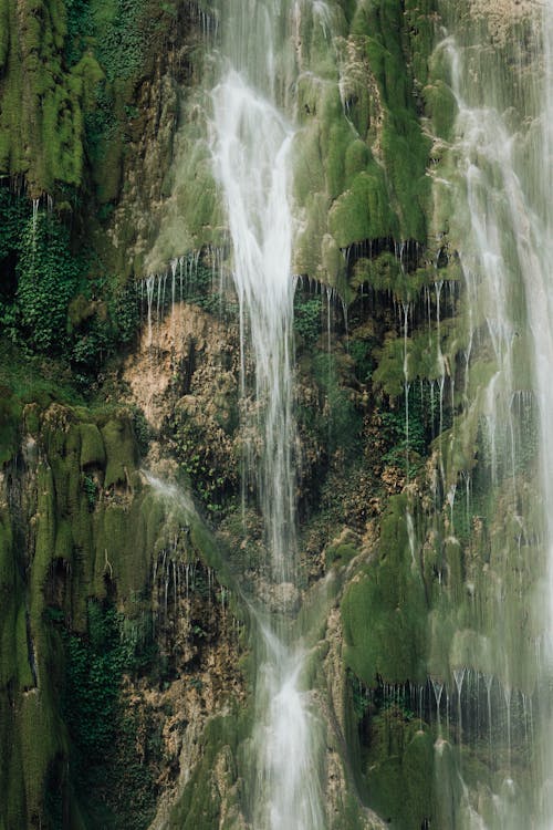 Free A waterfall is shown in a green area Stock Photo
